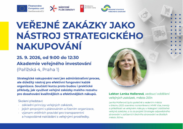  Strategický nákup ve veřejné správě