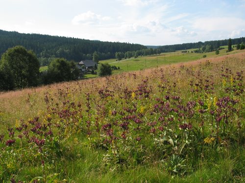 Lidé žijící v česko-bavorském pohraničí se mohou těšit na další společné projekty